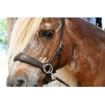 Edix ED2 Grace Sidepull Bridle